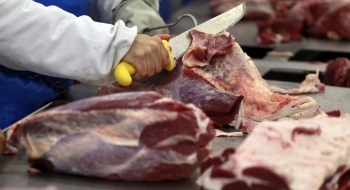 Exportação de carne do Brasil aumenta 12% no ano até agosto